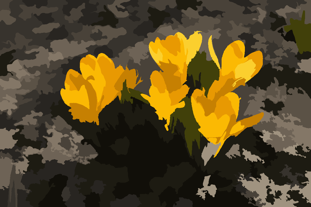 The crocus photo rendered as a numbered paint-by-number sheet by PaintGrid
